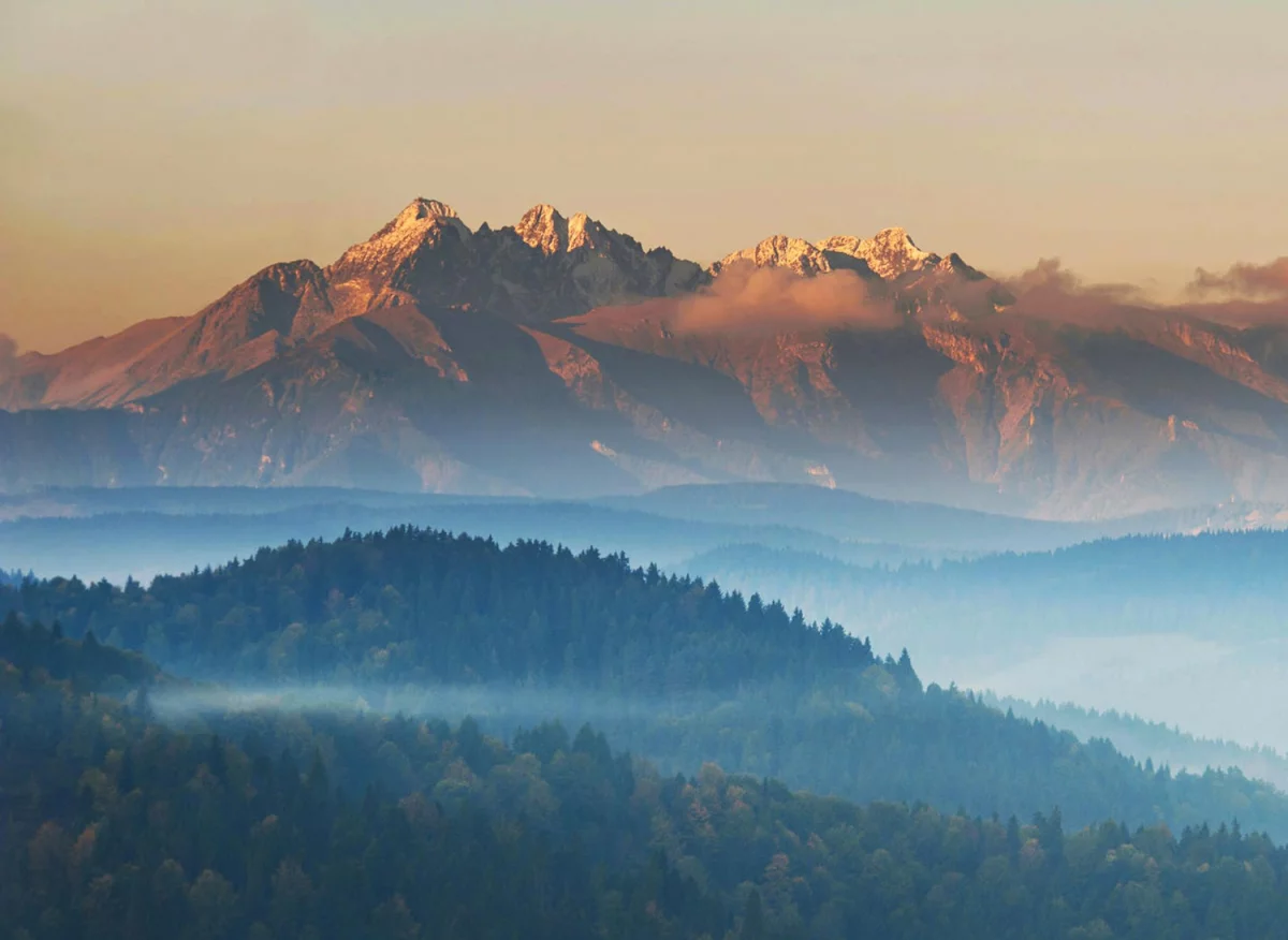Ochrona środowiska dla firm technologicznych: Kluczowe strategie zrównoważonego rozwoju w erze cyfrowej