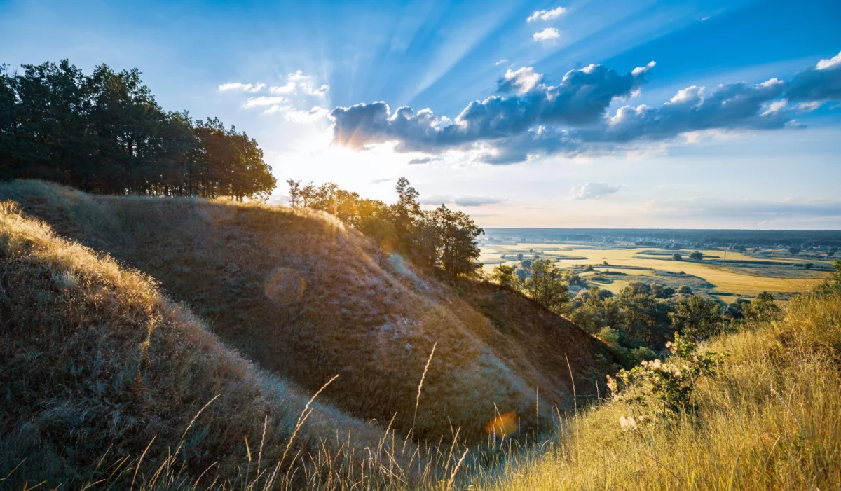 Doradztwo w zakresie ochrony środowiska: Klucz do zrównoważonego rozwoju i odpowiedzialności ekologicznej