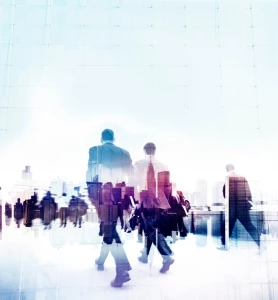 BDO dla producenta komputerów: Kluczowe aspekty i korzyści wdrożenia