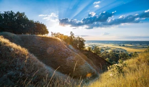 Gdzie postawić mikrofalówkę? Praktyczne porady dla każdej kuchni
