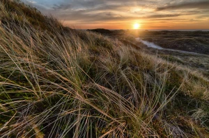 Ziemniaki obierane – niezbędny krok do doskonałych potraw