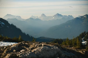 Podatki w Rumunii: Kluczowe informacje i aktualne zmiany w systemie podatkowym